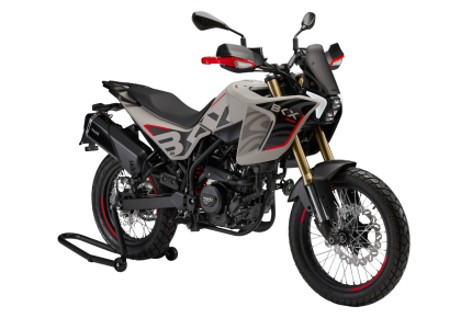 BKX 300
