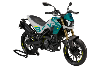 BKX 300S
